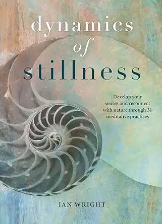 Cover of Dynamics of Stillness by Ian Wright